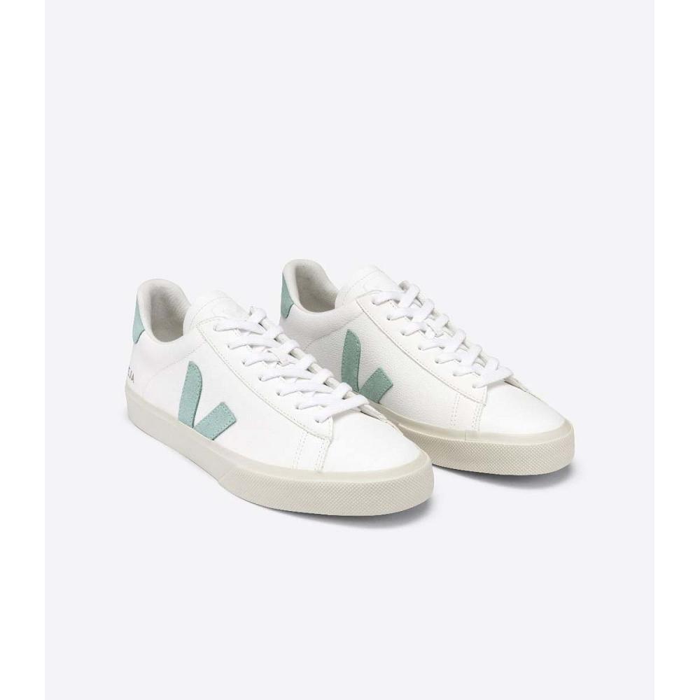 Veja CAMPO CHROMEFREE Low Tops Sneakers Férfi White/Mint | HU 295RVD